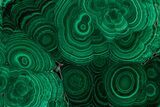 Flowery Polished Malachite Slab - DR Congo #350838-1